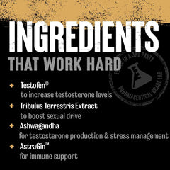 Animal TNT+ nitric-oxide support visual suggesting improved blood flow during workouts.