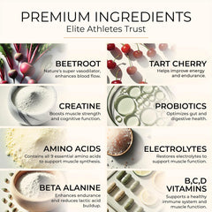 Antidote Wild Blueberry powder on spoon highlighting flavor and clean ingredients.