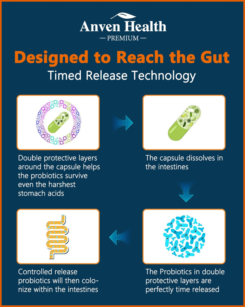 Anven Health Patented Delayed-Release Process demonstrates enhanced nutrient absorption