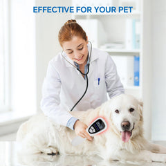 Anyork pet-friendly design supports gentle at-home care