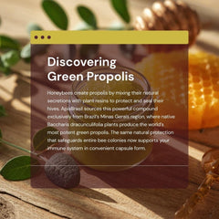 Origin label for ApisBrasil Green Propolis from Minas Gerais, highlighting natural sourcing