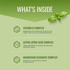Nervprin blends graphic featuring B-Absorb, Mag-Sci, AlphaPro