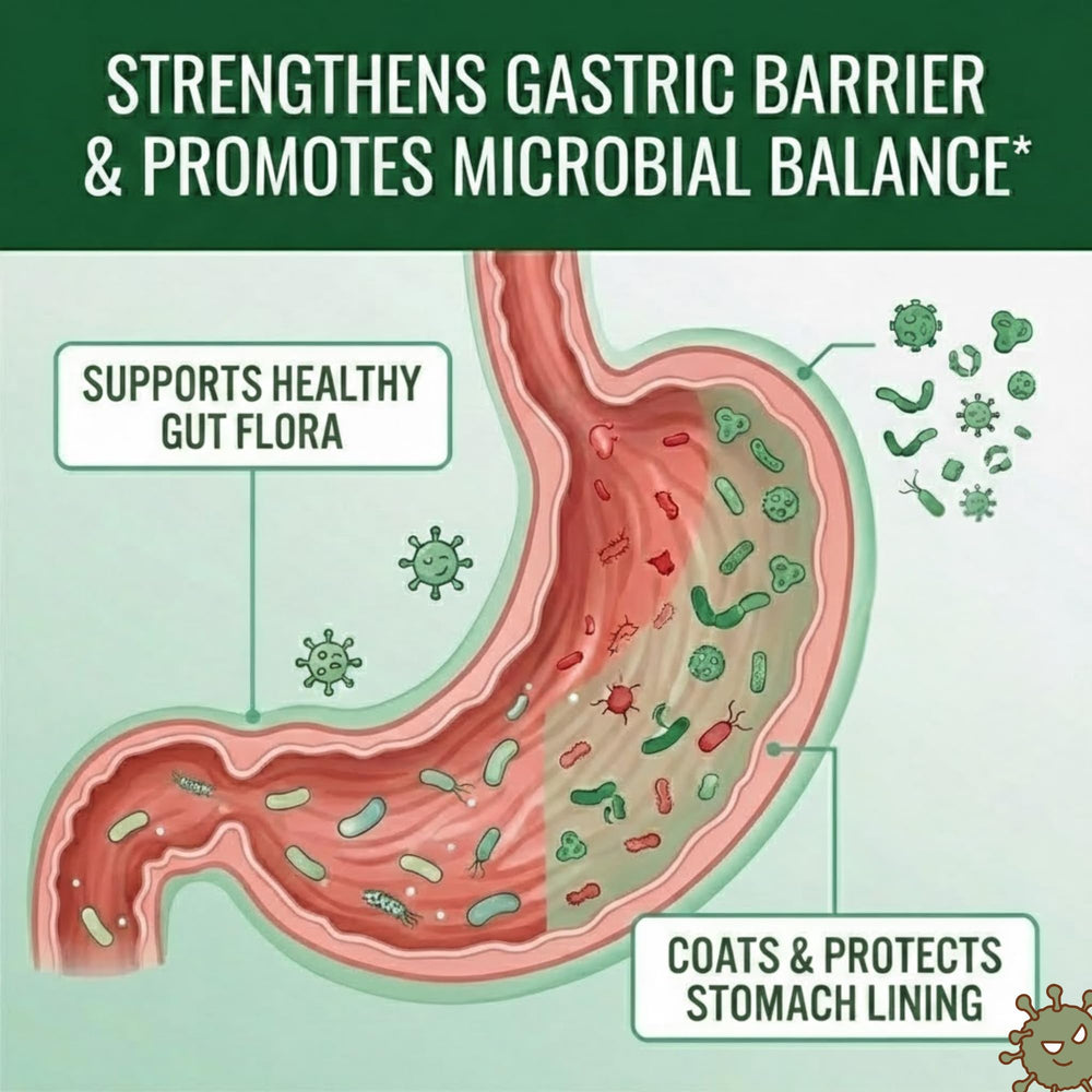 Approved Science Pyloriprin label ingredients highlight zinc L-Carnosine and probiotics