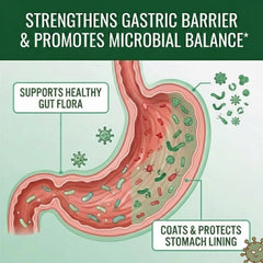 Approved Science Pyloriprin label ingredients highlight zinc L-Carnosine and probiotics