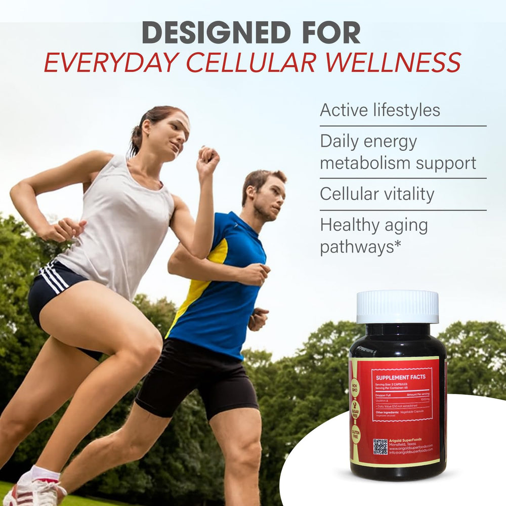 Arigold Urolithin A PRO pomegranate imagery underscoring polyphenol-derived postbiotic.