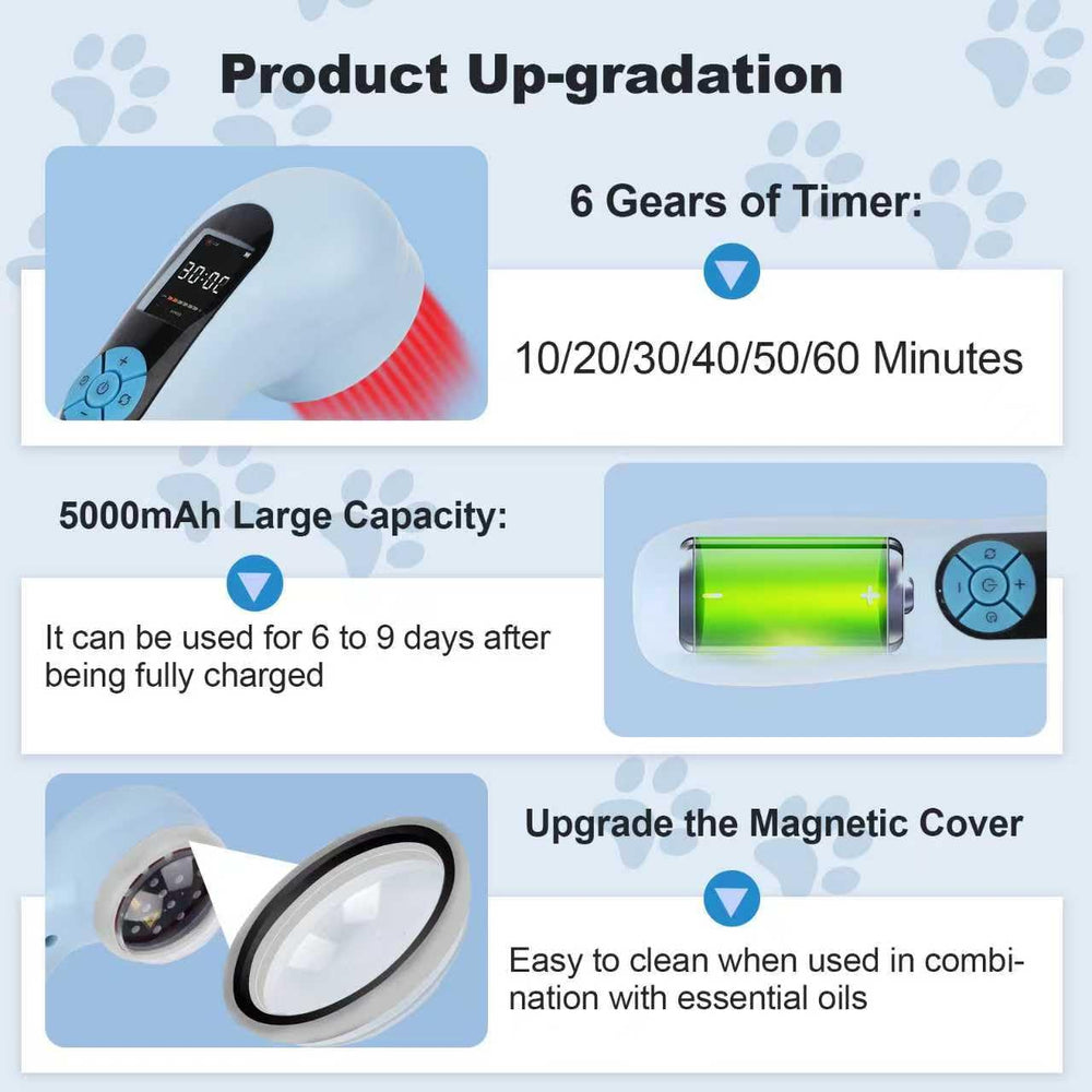 Ariysah dog-head matrix setup for efficient deep physiotherapy sessions