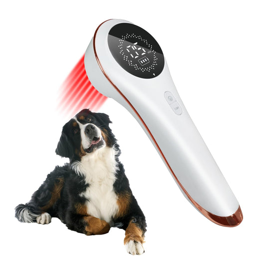 Ariysah LLLT main unit for deep tissue pet therapy sessions.