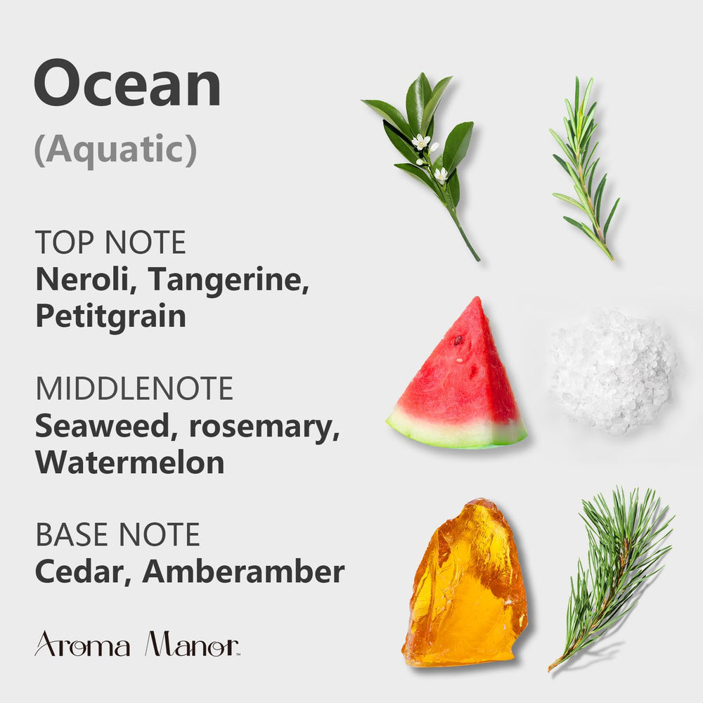 Aroma Manor Ocean diffuser oil packaging showcased on display.