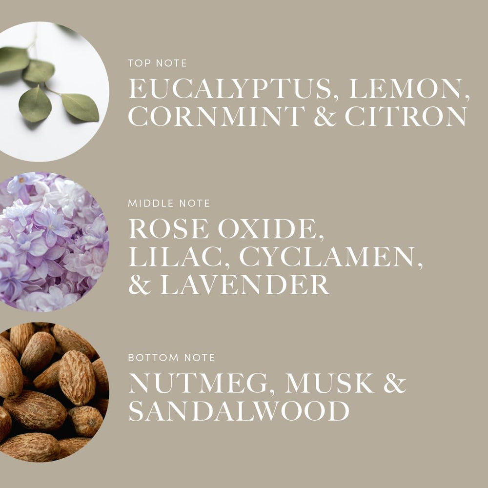Aroma360 Across The Universe top notes of eucalyptus and lemon visible on bottle