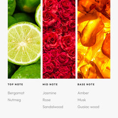 Aroma360 Daisy Duck Sassy Petals amber hues evoke warm, inviting atmosphere.