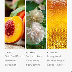 Aroma360 Pro Pod diffuser in living room invites guests.