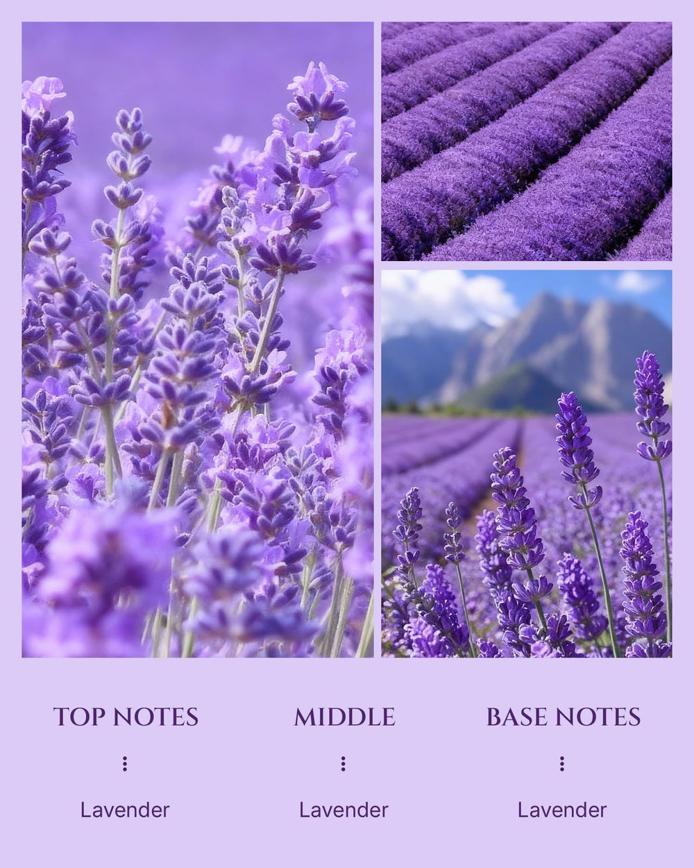 Aromadd Lavender diffuser oil in use with compatible diffusers for consistent fragrance.