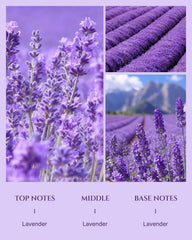 Aromadd Lavender diffuser oil in use with compatible diffusers for consistent fragrance.
