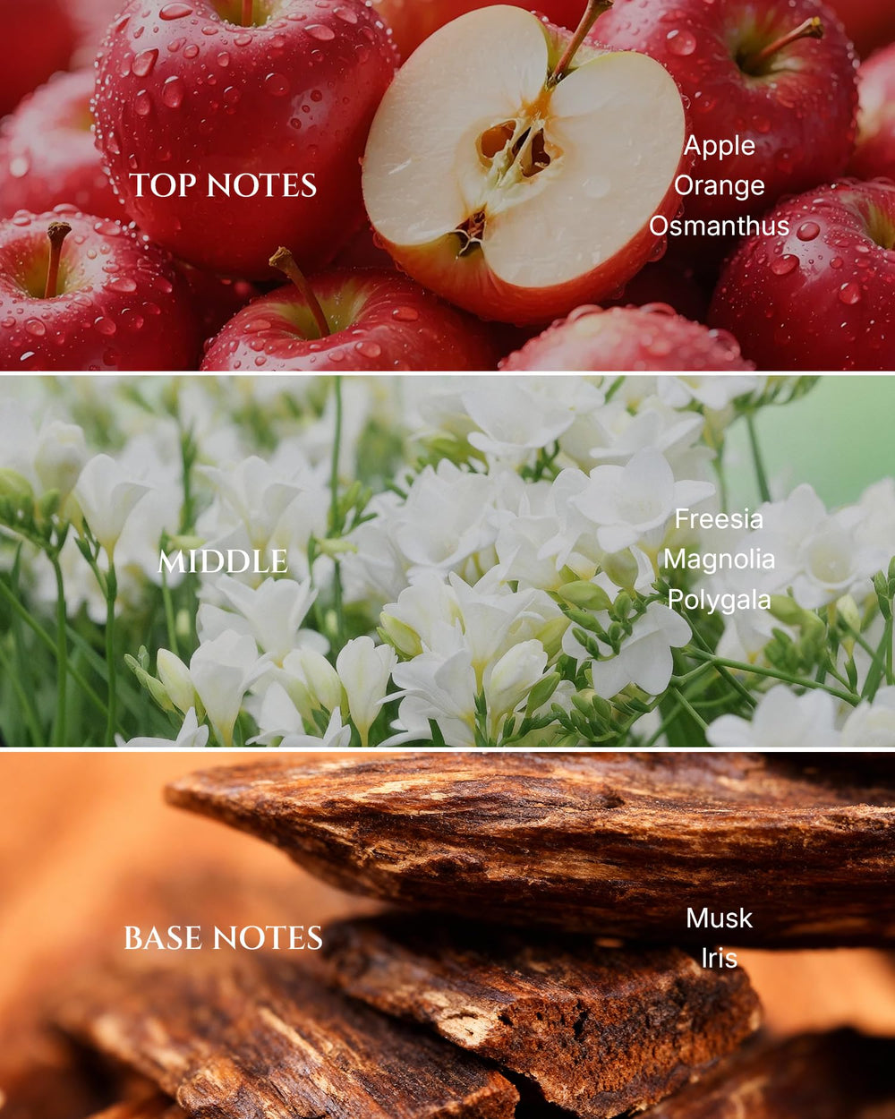Aromadd Years of Flowers diffuser setup image, ideal for elevating living room ambiance.