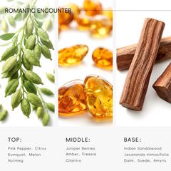 AROMASOUL Romantic Encounter premium diffuser packaging reflects hotel-grade fragrance.