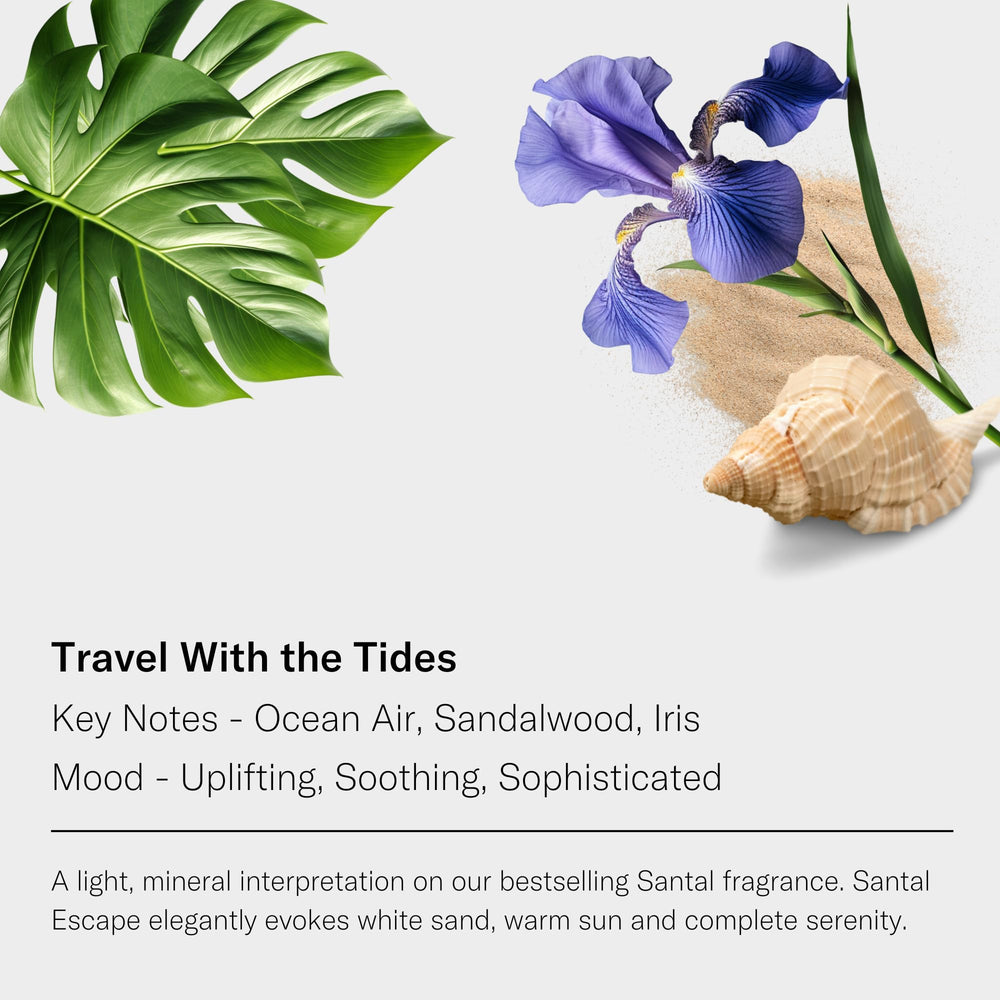 AromaTech Santal Escape Sandalwood focus creates a warm, sophisticated atmosphere.