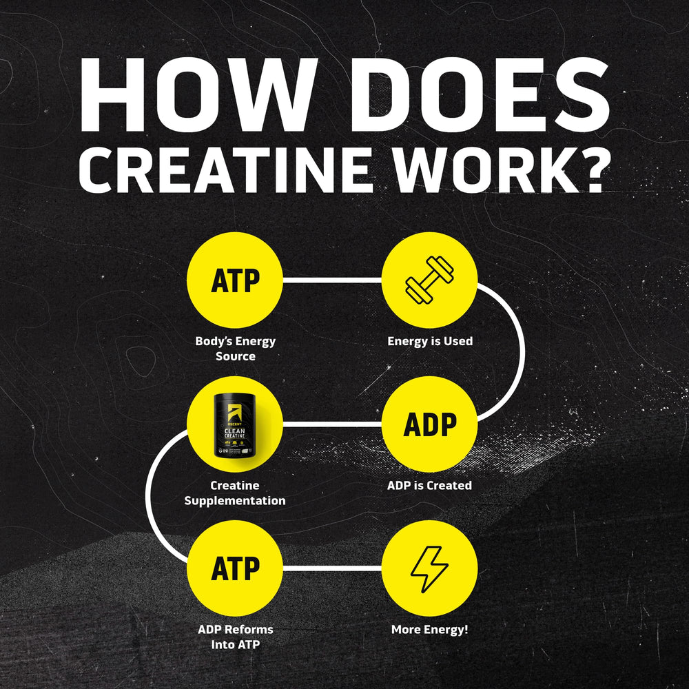 Measuring 5 g scoop of Ascent creatine for daily use