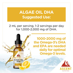 Dropper dispensing a 2 mL serving of Algae Oil DHA by Ascent Nutrition.