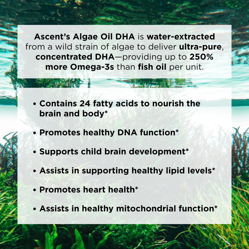 Golden algae oil with rich color ready for daily omega-3 intake.