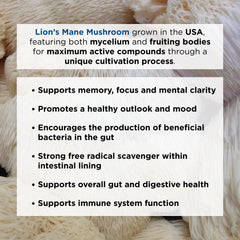 Ascent Nutrition Lions Mane powder supports gut comfort and digestive health routines.