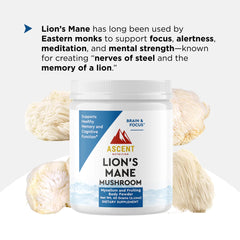Ascent Nutrition Lions Mane powder shows mycelium and fruiting body components for rich active compounds.