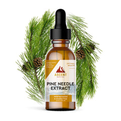 Ascent Nutrition Pine Needle Extract bottle shows a clean, alcohol-free tincture for daily use