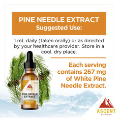Ascent Nutrition Pine Needle Extract branded packaging signals premium, wild-harvested ingredients