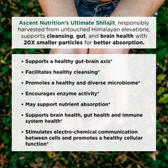 Ascent Nutrition Ultimate Shilajit ingredients scoop shows fulvic and humic acids for nutrient delivery.