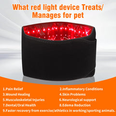 Asenei red light belt for home use during routine care.