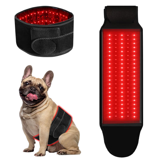 Asenei red light therapy belt for dogs in action, easing joints and supporting mobility.