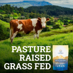 Aspen Naturals Bovine Collagen Powder scoop shows precise serving for consistency.