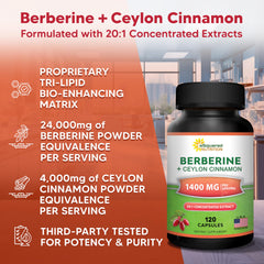 aSquared Nutrition Berberine Cinnamon veggie capsules product shot for daily use