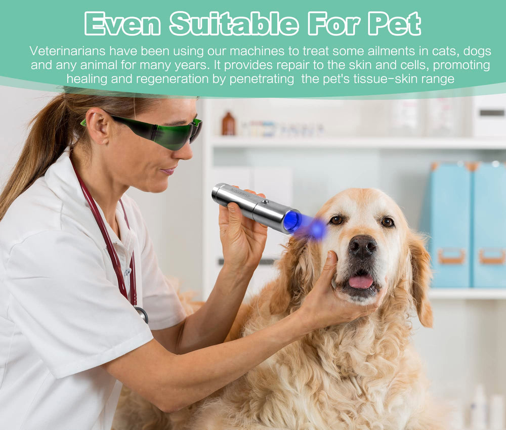 ASWAYSUN pet-friendly red light therapy use for animal comfort