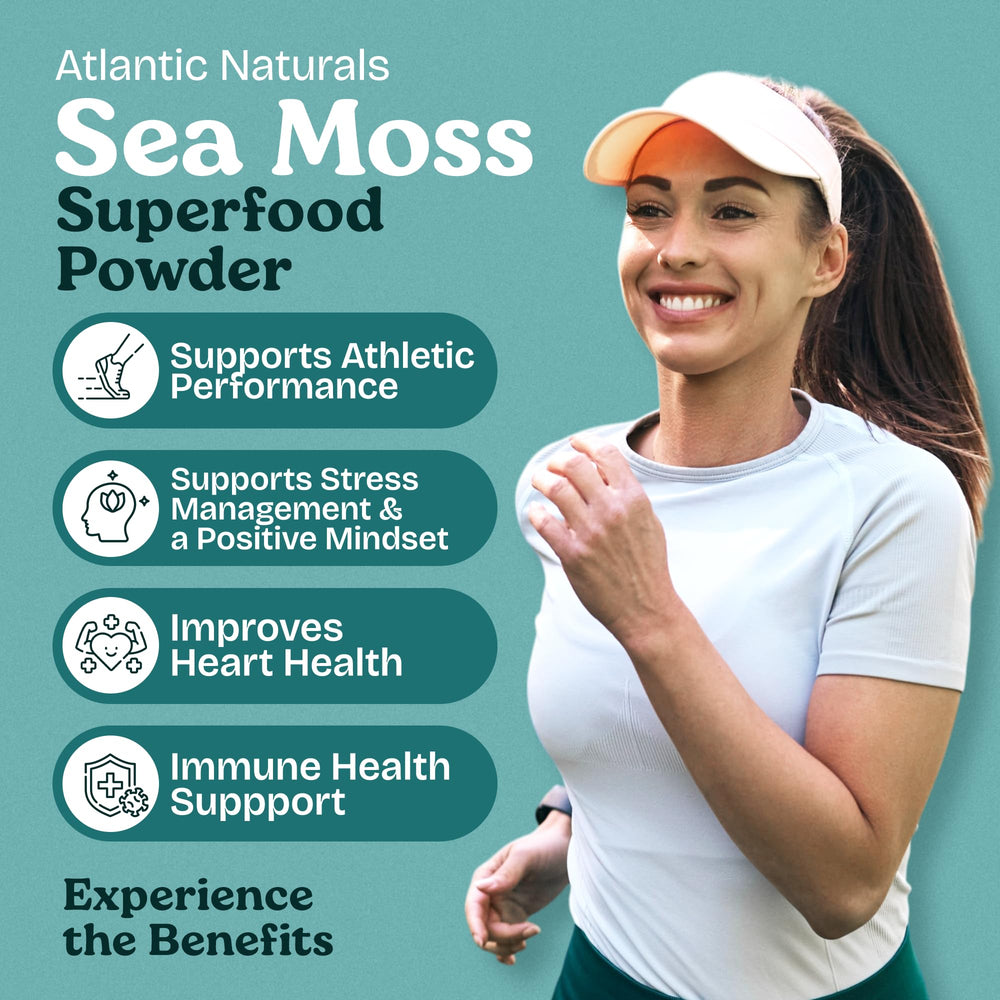 Atlantic Naturals sea moss powder vanilla texture close-up shows fine powder.
