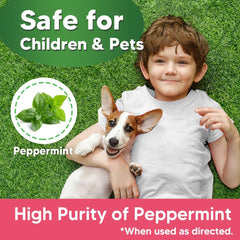 AUDQQM long-lasting peppermint deterrent provides up to 60 days of scent coverage.