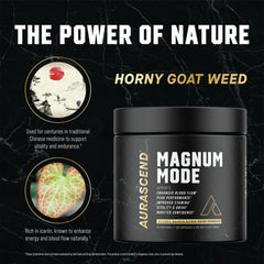 Aurascend Magnum Mode label with USA GMP seal