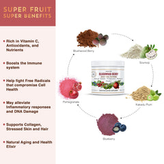 Aussie Pure Blushwood Berry ingredients panel highlighting Kakadu Plum and berries.