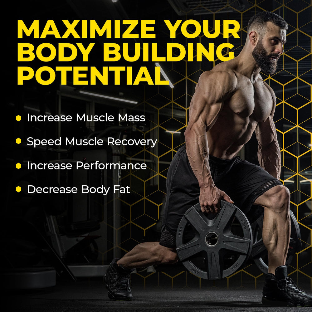 Avry Labs L-CREATINE label close-up highlighting leucine and HMB synergy for recovery.