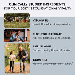Axobotanica Kidney Cleanse daily routine image for easy use