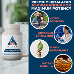 Ayush Herbs Ashwagandha Extract 500 mg per pill delivers potent support
