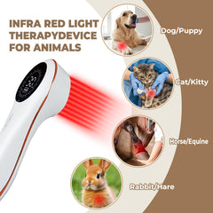 Azilaser 650nm red light supports surface circulation and healing in pets.