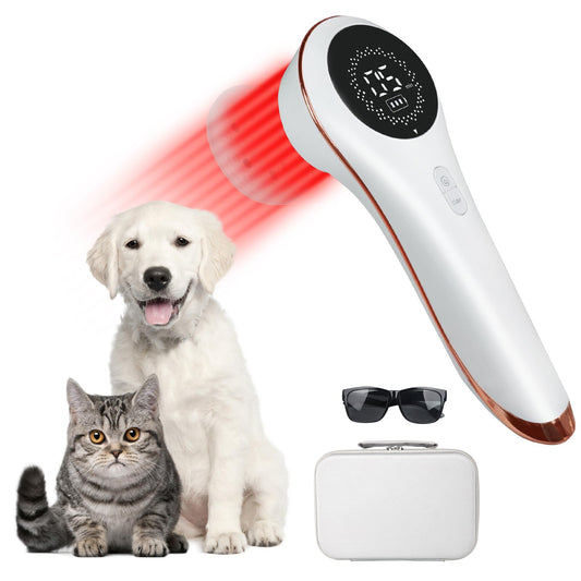 Azilaser dog laser device targets deep tissue with 808nm light for potential comfort.