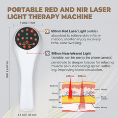 Azilaser portable home therapy kit for convenient pet care at home.