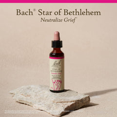 Bach Star of Bethlehem label close-up shows trusted Bach method heritage.