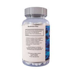 BACTERIUM PLUS packaging box perspective conveys a comprehensive digestive support overview