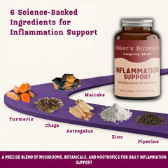 Baker's Botanics Longevity Gummies maitake illustration signals resilience and everyday vitality.