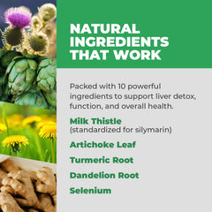 Balance ONE capsules close-up highlighting artichoke leaf for digestion support