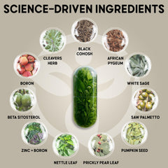 Balanced Vibe Saw Palmetto label front emphasizes natural ingredients for ongoing support.