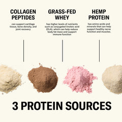 Ballerina Farm ingredients chart showing clean farm-inspired nutrition
