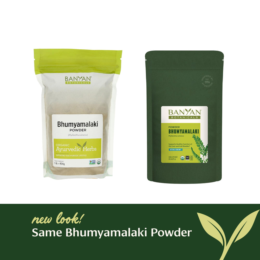 Pouring Bhumyamalaki tea from powder inspires a gentle cleansing ritual.